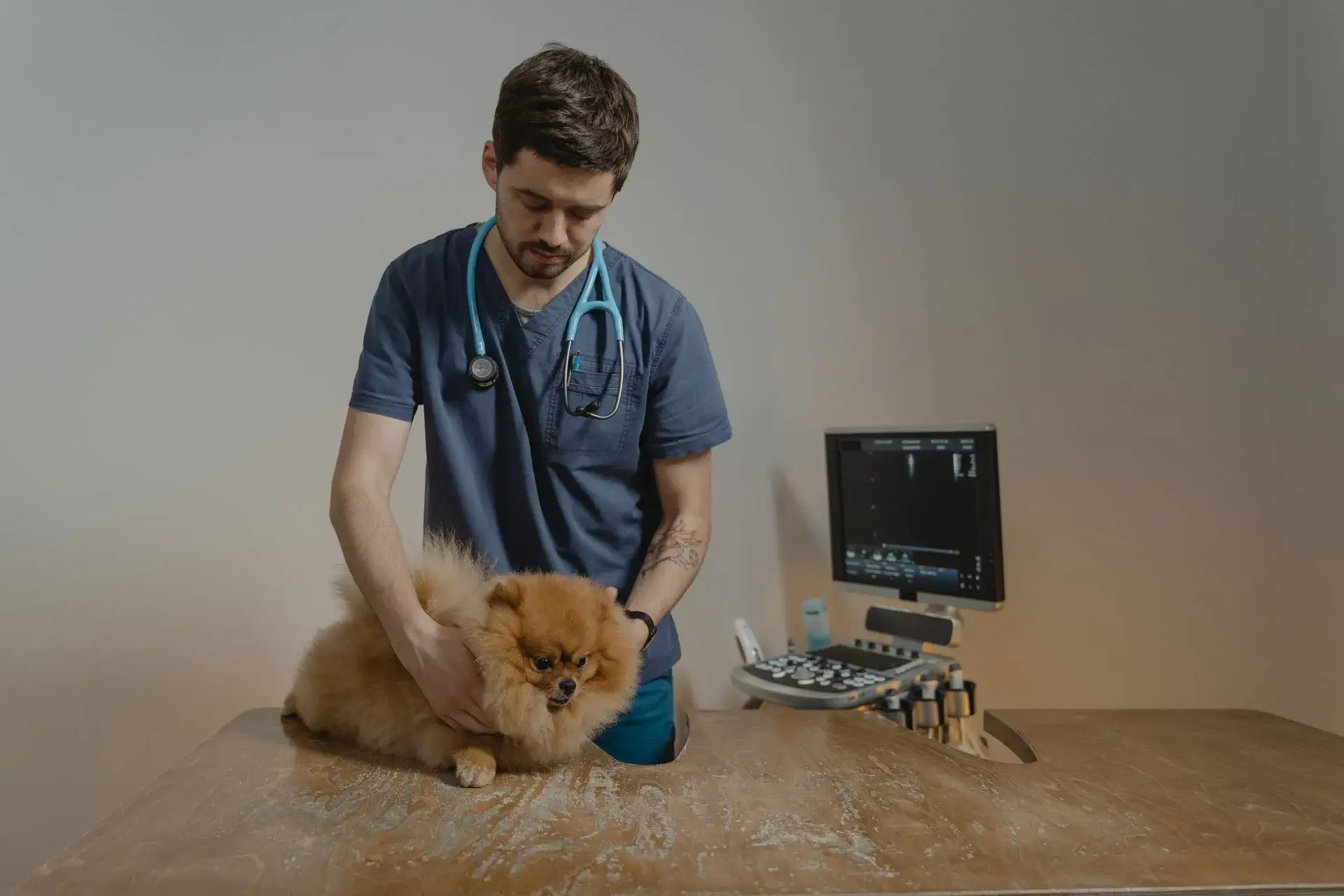 Veterinários